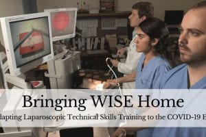Bringing WISE Home: Adapting Laparoscopic Technical Skills Training to the COVID-19 Era